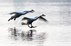 若你無力與人競爭善功中的虔敬，請與罪人競爭對於安拉寬恕的渴求