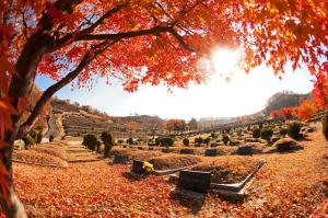 如何以伊斯蘭的方式哀悼逝者