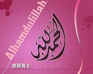 學者對真主的圓滿深情