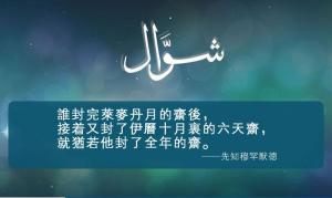 伊曆十月(閃瓦里月)六天齋戒的意義及相關教法判例