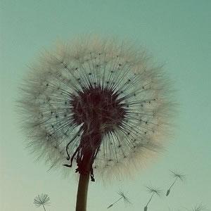 主啊，在這滿是恩典的主麻日，請……