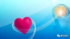 頭腦（العقل）和心靈（القلب）的關係