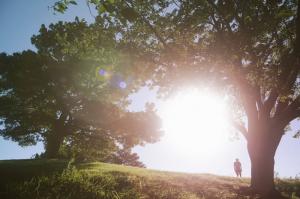 你之所以會心碎是因為你將它交給了今世