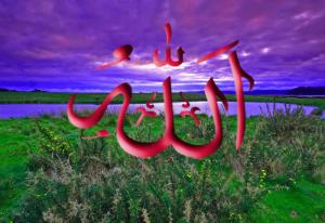 如何獲得安拉的喜愛？