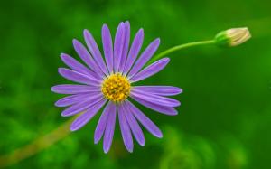 你要持續不斷地做那些安拉所喜愛的事