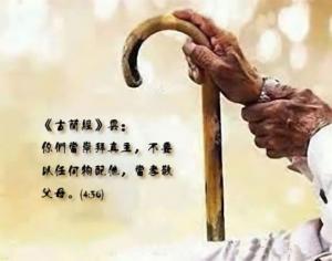 博愛社舉辦敬老會（2017）