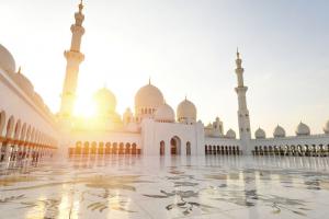 純潔自己的舉意