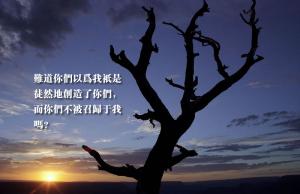 難道你們以為我只是徒然地創造了你們，而你們不被召歸於我嗎？