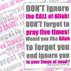 不要無視安拉對你的召喚