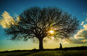 生命是來自安拉的禮物