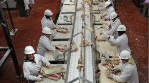 奧蘭多遭解雇穆斯林員工獲得失業補助