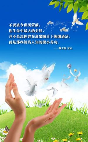 你生命中最大的美好是那些鮮為人知的微小善功