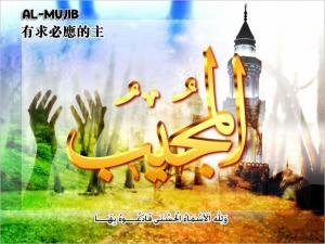 【安拉的尊名與屬性】有求必應的主