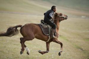 為求婚騙馬不堪辱名