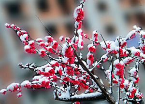 不要過於擔心你所遇到的磨難