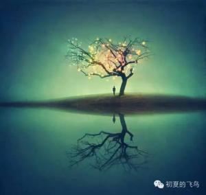 你孤獨但你精彩——致因巴黎屠殺而被朋友圈邊緣化的穆斯林