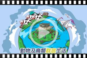  [粵]古蘭經的奇蹟系列：動物及鳥類群居生活