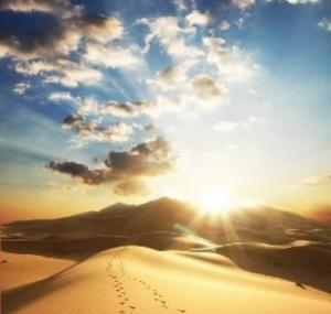 鼓勵做“小事”的五段聖訓