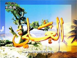 【安拉的尊名與屬性】至尊的主、崇高的主