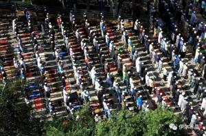 西寧地區20萬穆斯林同胞喜慶“爾德節”