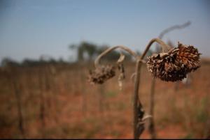 請勿在塵世將自己的福分消盡享完