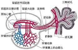 ͼ 4  �������˴��Ŵ�