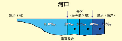 ͼ 14  �������˴��Ŵ�