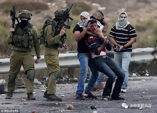 张承志略谈国际形势