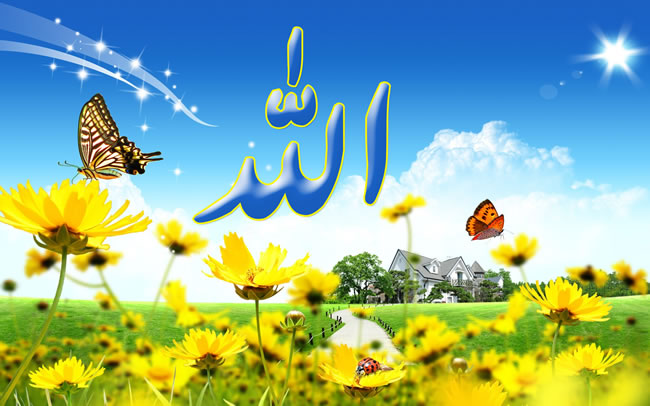 Allah-name-and-butterfly.jpg