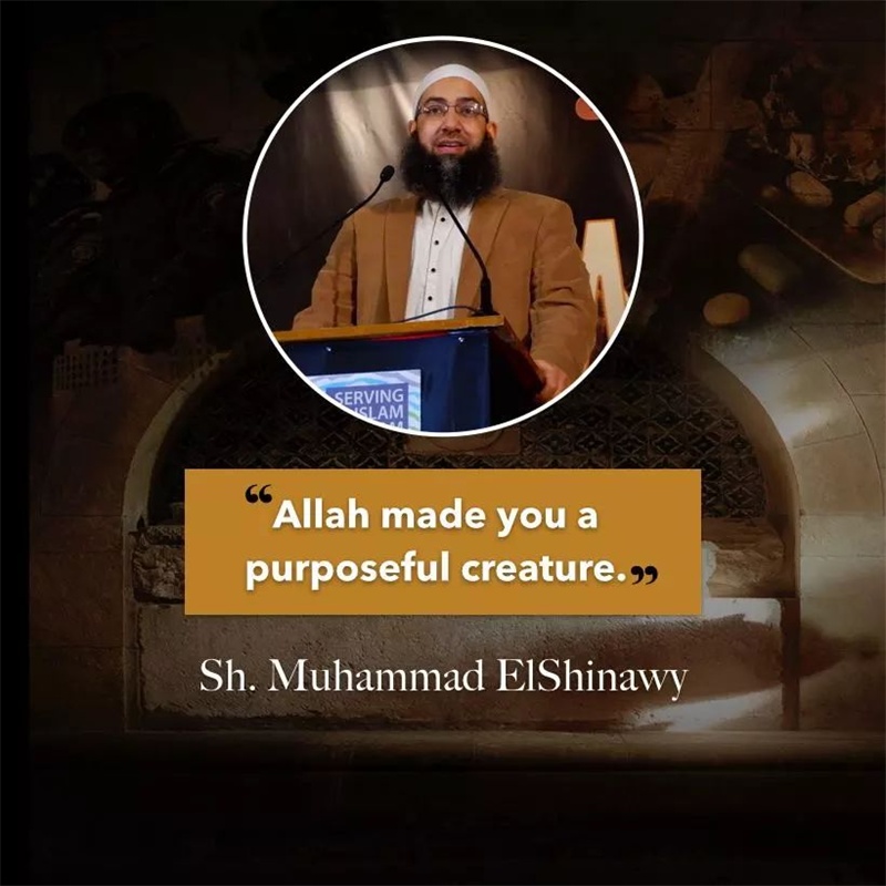 香港年度伊斯兰峰会 (16).jpg