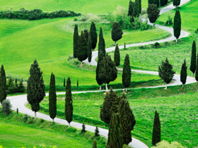 為什麼選擇伊斯蘭？