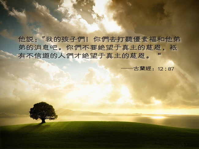  我們來自真主  也必定歸回真主