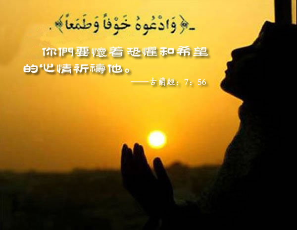  安拉只接受敬畏者的供物