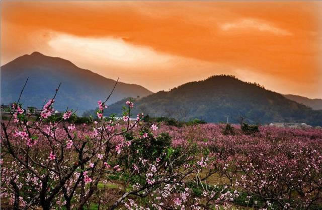 活在恐懼與希望之間乃信士的常態