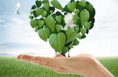 全身心地信託真主