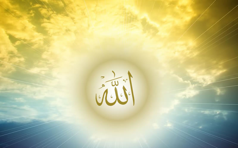 你能看見真主嗎？