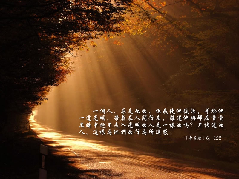 馬書才：真主之愛