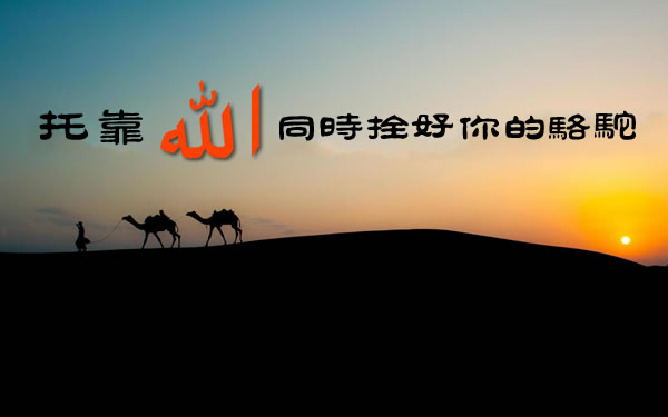 瀚歌：前定的真諦