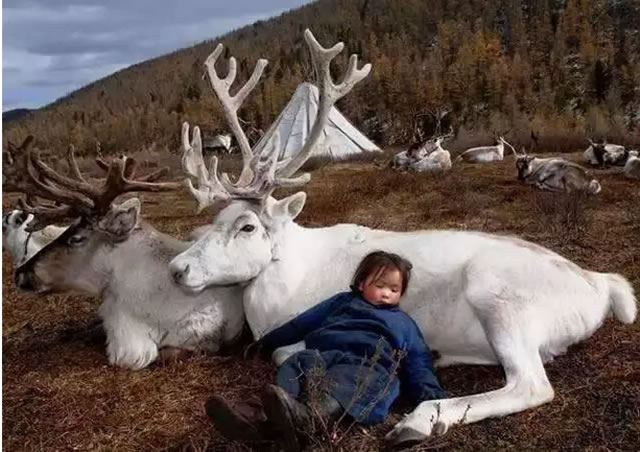 瀚歌：何謂給養