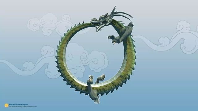 造化的奇跡：細胞自體吞噬