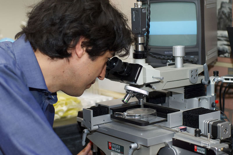 齋戒與人體免疫系統