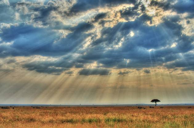 宇宙萬物——彰顯真主之創造