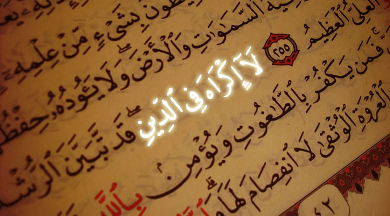 一份被遺忘的契約