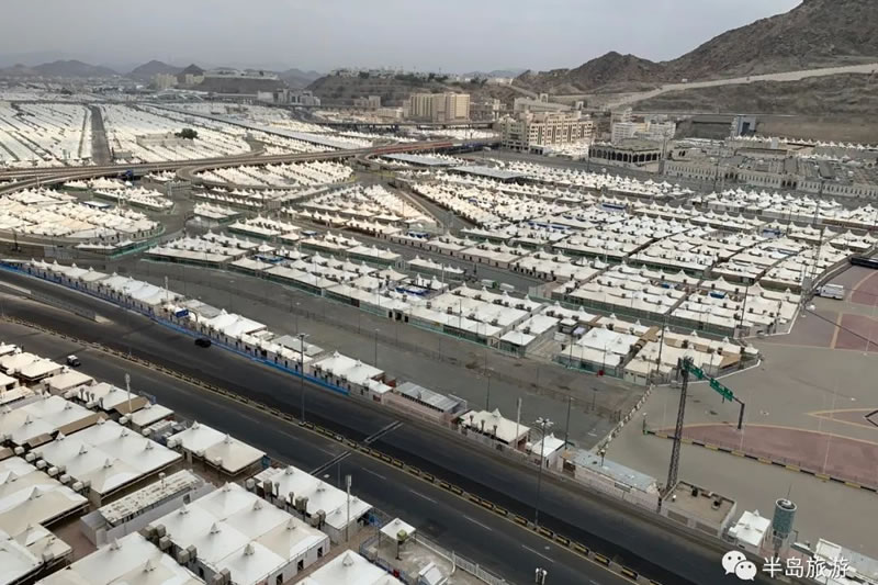 疫情下的2020朝覲：進駐米納