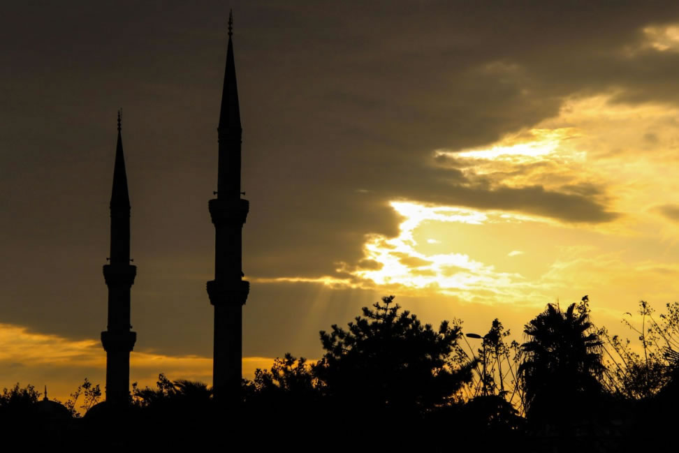 《論人的宗教信仰本能》（節選）