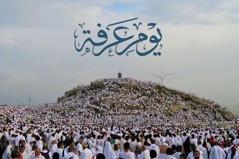 追思阿拉法特山