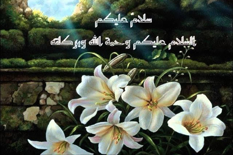 從穆斯林的語言文化看伊斯蘭教文明