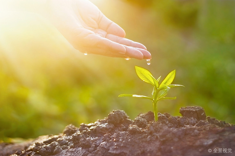 淺析《古蘭經》中 “賽德蓋”的含義