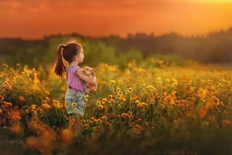 美德：每個人都能給予的施捨