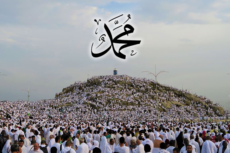 遵循先知辭朝演說的精神